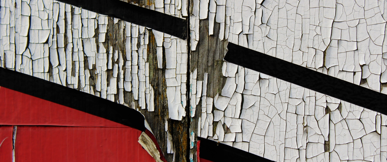 samuel-schneider-uvNrc5yBNjs-unsplash